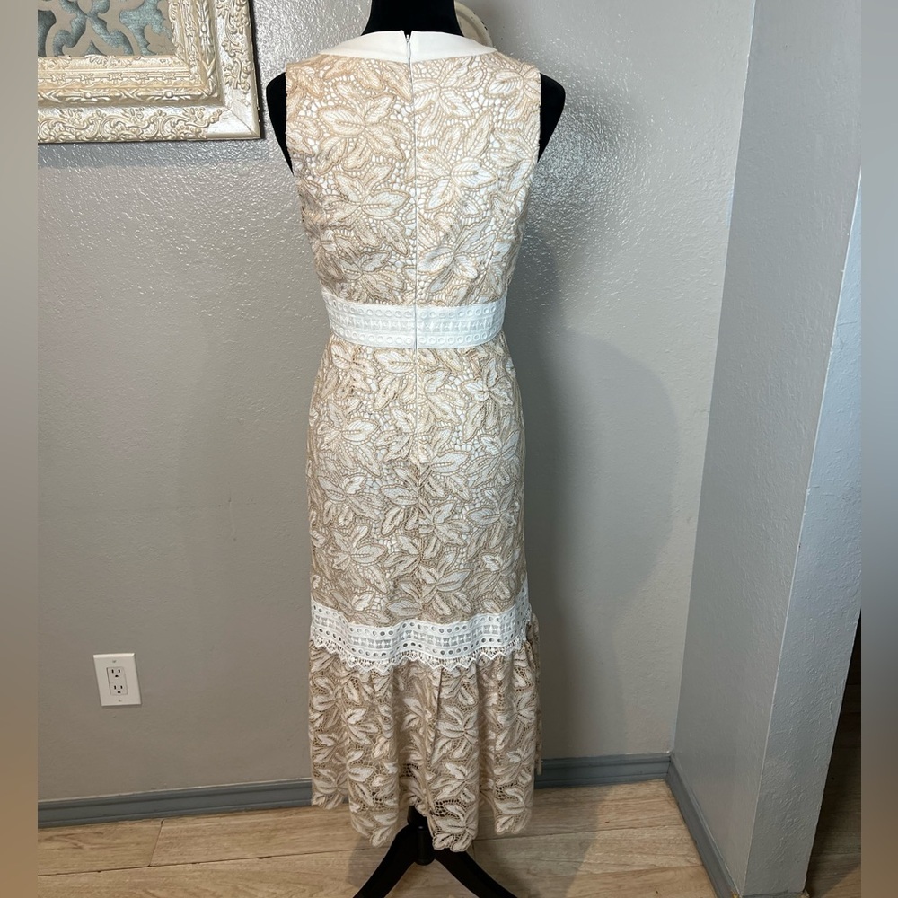 ANTONIO MELANI Beige and White Lace Maxi Dress - Picture 8 of 11